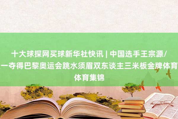 十大球探网买球新华社快讯 | 中国选手王宗源/龙谈一夺得巴黎奥运会跳水须眉双东谈主三米板金牌体育集锦