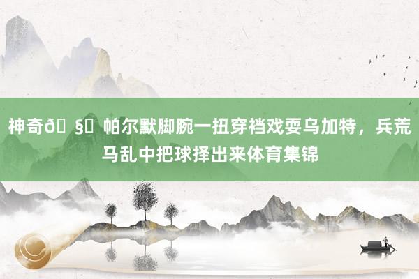 神奇🧙帕尔默脚腕一扭穿裆戏耍乌加特，兵荒马乱中把球择出来体育集锦