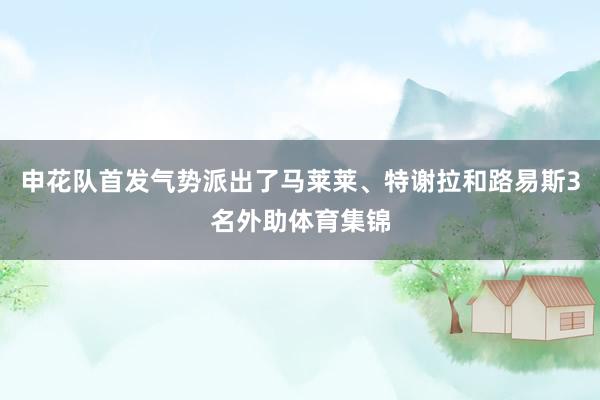 申花队首发气势派出了马莱莱、特谢拉和路易斯3名外助体育集锦