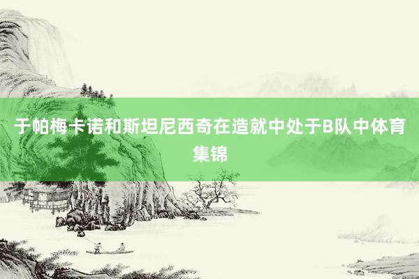 于帕梅卡诺和斯坦尼西奇在造就中处于B队中体育集锦