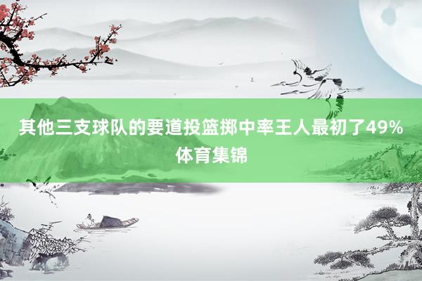 其他三支球队的要道投篮掷中率王人最初了49%体育集锦