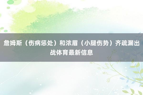 詹姆斯（伤病惩处）和浓眉（小腿伤势）齐疏漏出战体育最新信息