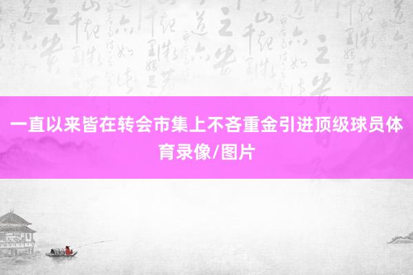 一直以来皆在转会市集上不吝重金引进顶级球员体育录像/图片